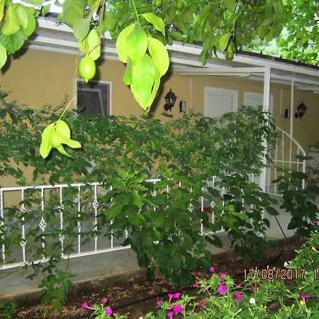 Izci Apart * Çıralı