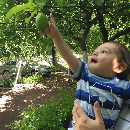 Izci Apart Hotel de apartamente