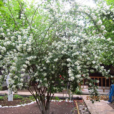 Izci Apart Hotel de apartamente